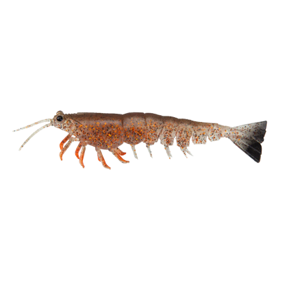 Irukandji Megaprawn 3in Soft Plastic Fishing Lures