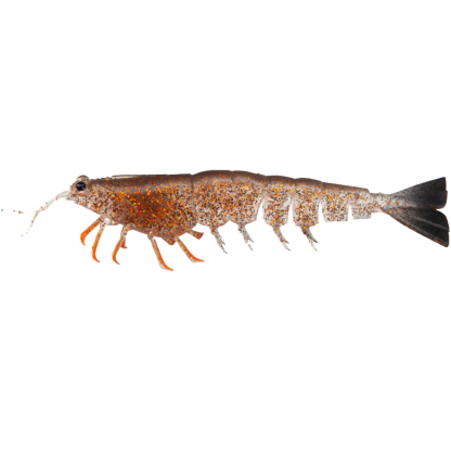 Irukandji Megaprawn 6.5in Soft Plastic Fishing Lures