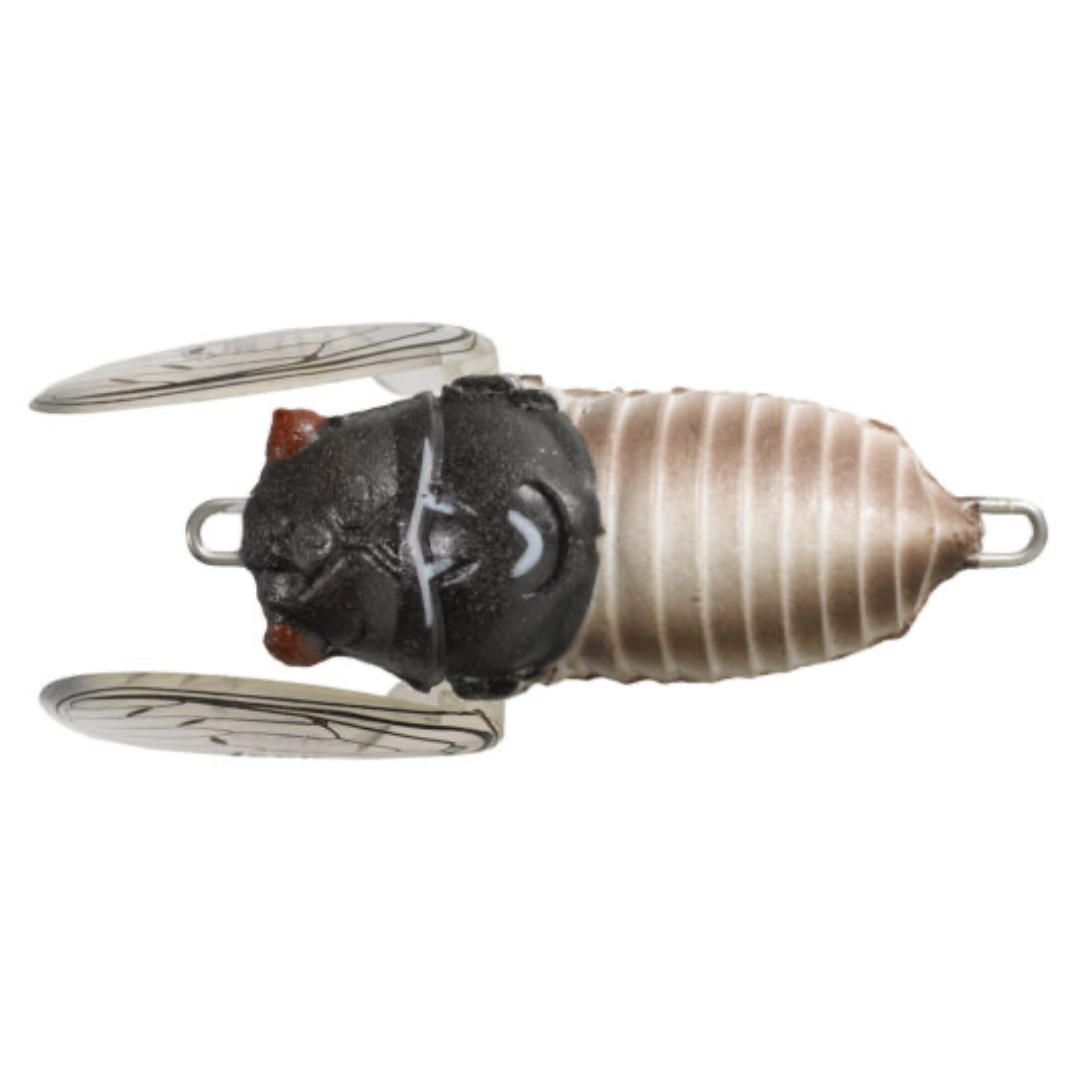 Tiemco Soft Shell Cicada EVO 42mm Surface Fishing Lure