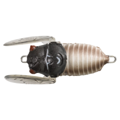 Tiemco Soft Shell Cicada EVO 42mm Surface Fishing Lure
