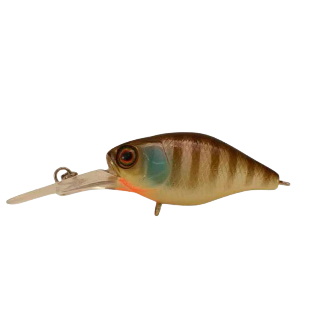 Jackall Chubby 38F MR Mid Diving Hardbody Lure-Otto's  Tackle World