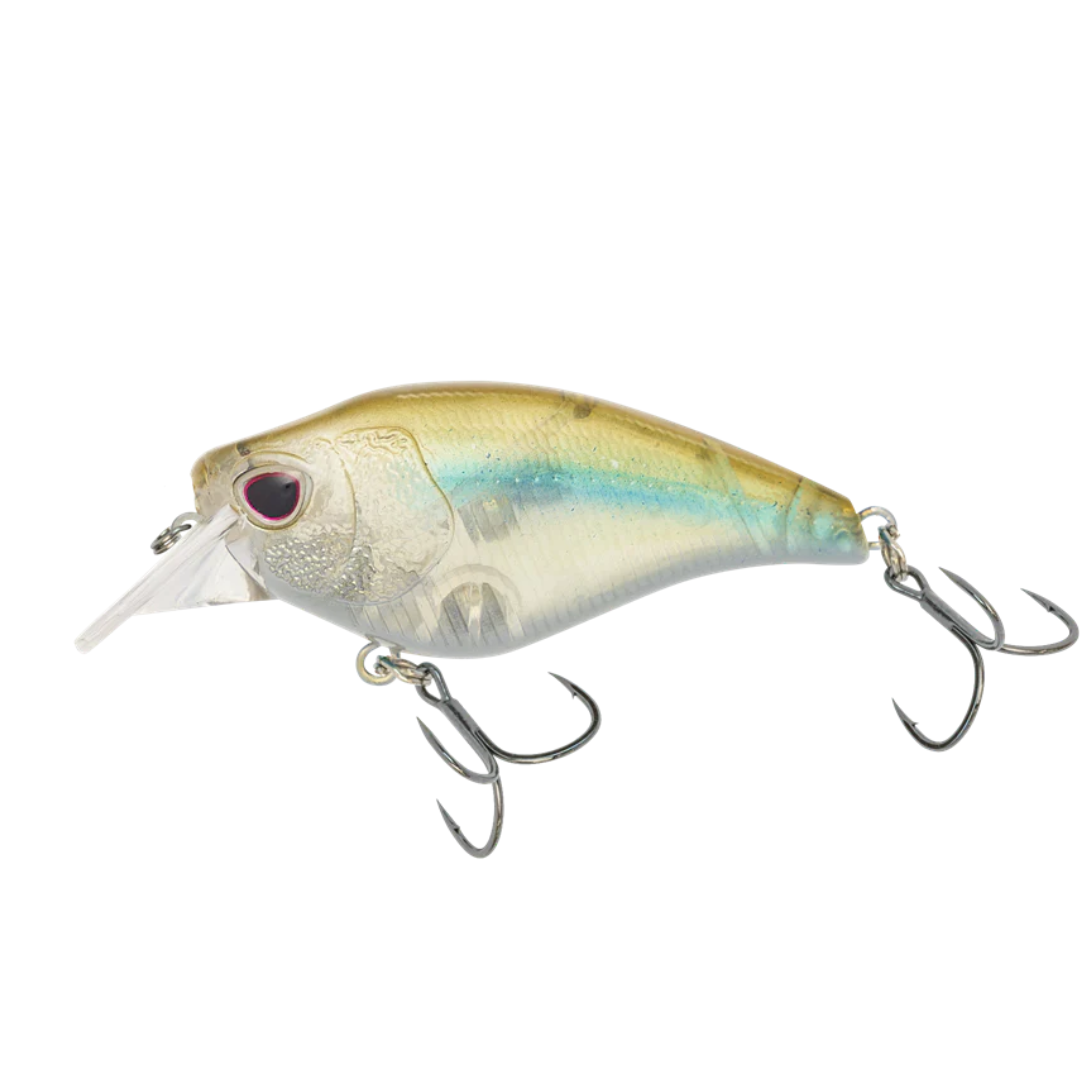 22 Nomad Design Atlas 55mm Squarebill Crankbait Fishing Lure-Otto's  Tackle World