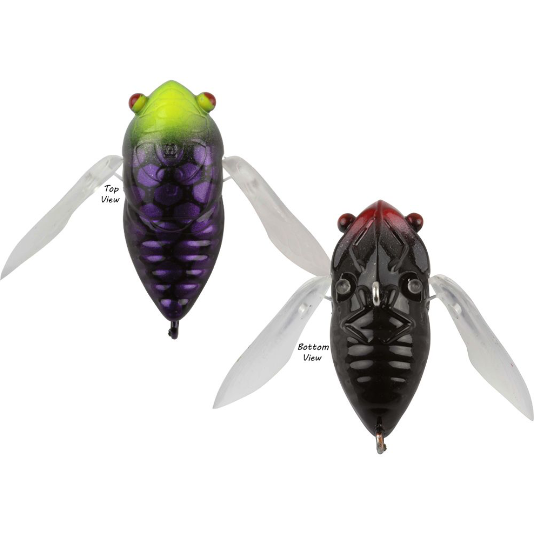 Atomic Hardz Cicada 35mm Surface Fishing Lure-Otto's Tackle World