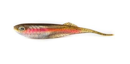 Cast Echo Finnese 5.4" Soft Plastic Lure - 6 Pieces-Otto's  Tackle World