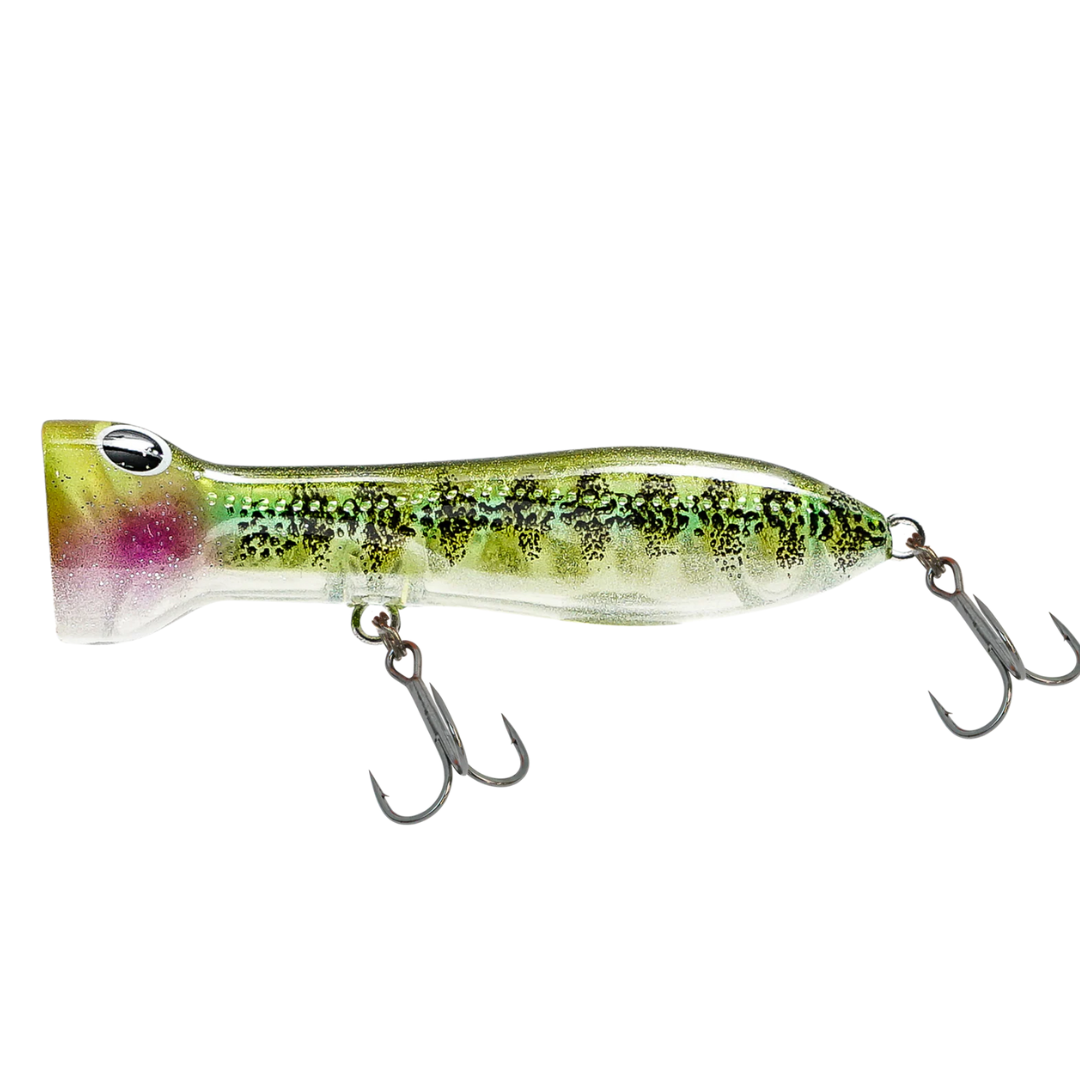 22 Nomad Design Chug Norris 50mm Popper Fishing Lure-Otto's  Tackle World