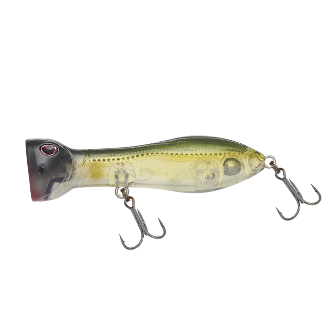 22 Nomad Design Chug Norris 72mm Popper Fishing Lure-Otto's  Tackle World