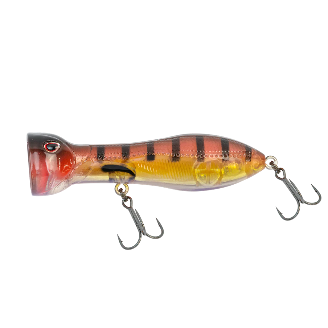 22 Nomad Design Chug Norris 72mm Popper Fishing Lure-Otto's  Tackle World