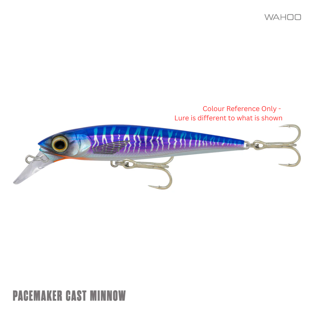 Samaki Pacemaker Minnow 120 DD