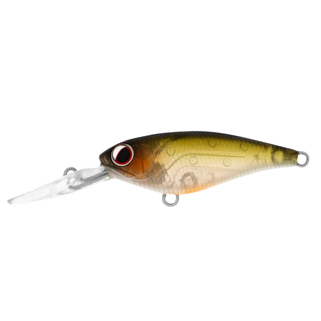 DAIWA Infeet Kodachi 40SF Hardbody Fishing Lure-Otto's  Tackle World