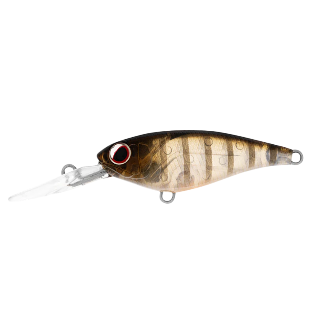 DAIWA Infeet Kodachi 40SF Hardbody Fishing Lure-Otto's  Tackle World