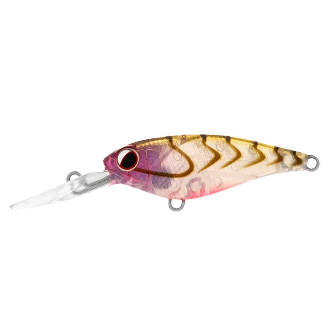 DAIWA Infeet Kodachi 40SF Hardbody Fishing Lure-Otto's  Tackle World
