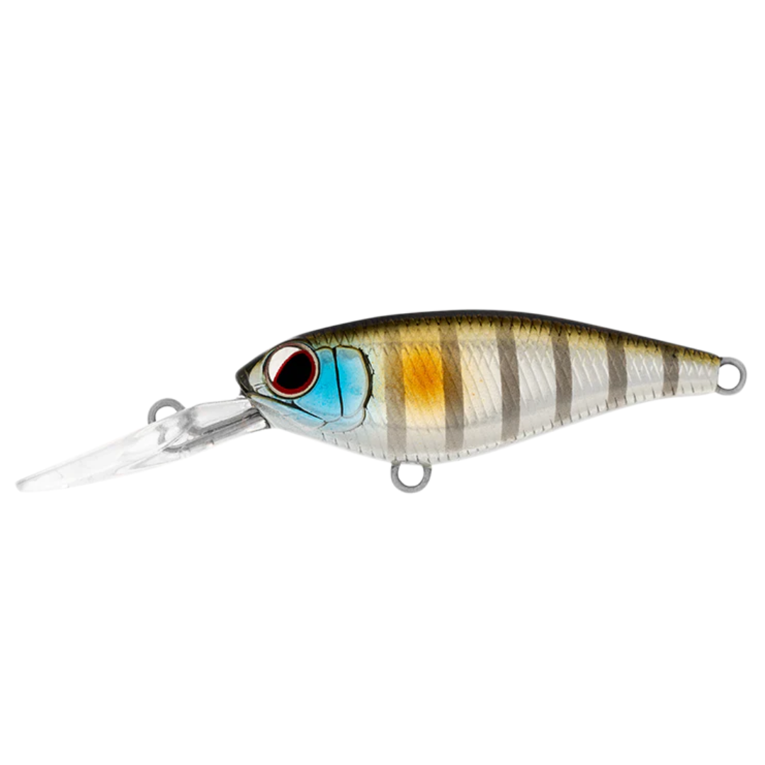 DAIWA Infeet Kodachi 40SF Hardbody Fishing Lure-Otto's  Tackle World