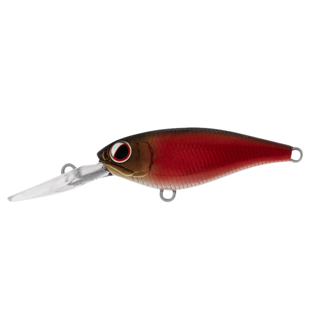 DAIWA Infeet Kodachi 40SF Hardbody Fishing Lure-Otto's  Tackle World