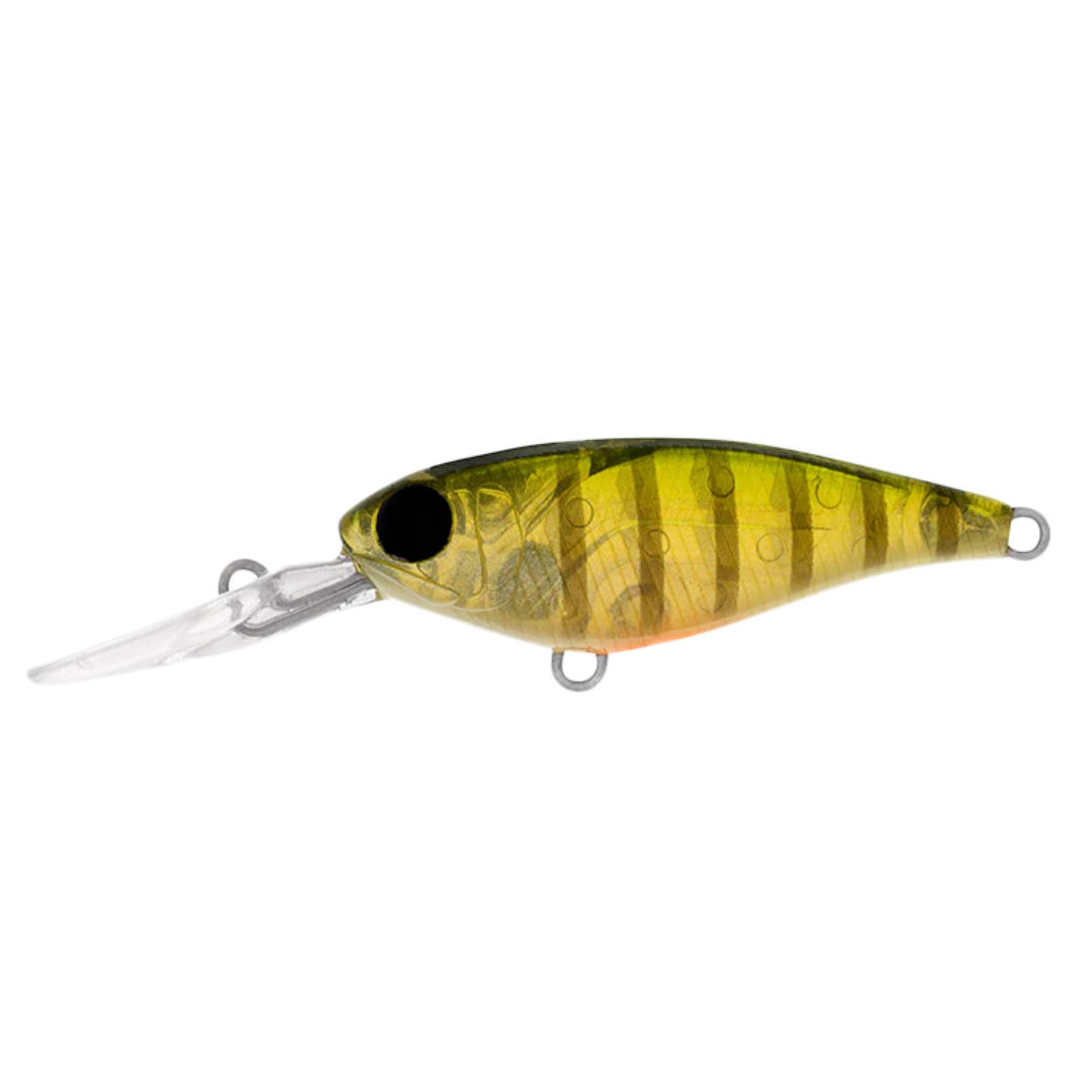 DAIWA Infeet Kodachi 40SF Hardbody Fishing Lure-Otto's  Tackle World