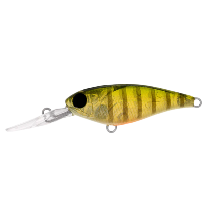 DAIWA Infeet Kodachi 40SF Hardbody Fishing Lure-Otto's  Tackle World