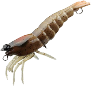 Pro Lure Hybrid Shrimp Soft Plastic Fishing Lure (92mm)