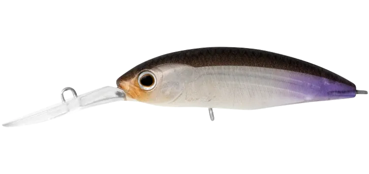 Daiwa Infeet Spike 53SP Ottoberfest Deal 