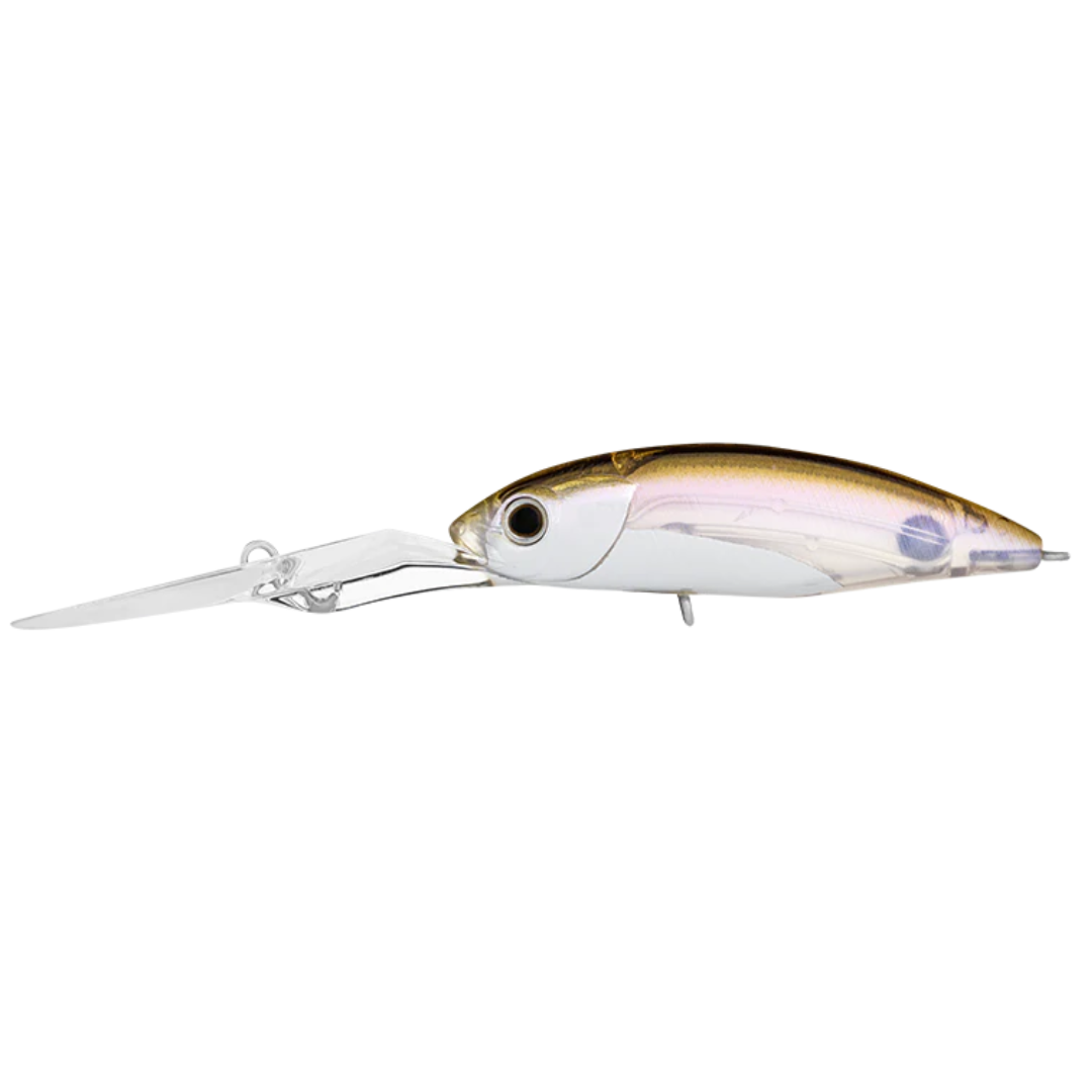 23 Daiwa Infeet Spike 53 EXDR Hardbody Fishing Lure-Otto's  Tackle World