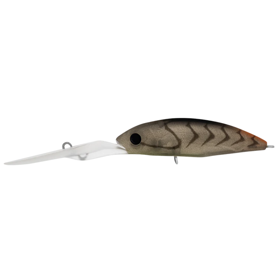 23 Daiwa Infeet Spike 53 EXDR Hardbody Fishing Lure-Otto's  Tackle World