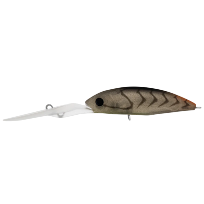 23 Daiwa Infeet Spike 53 EXDR Hardbody Fishing Lure-Otto's  Tackle World