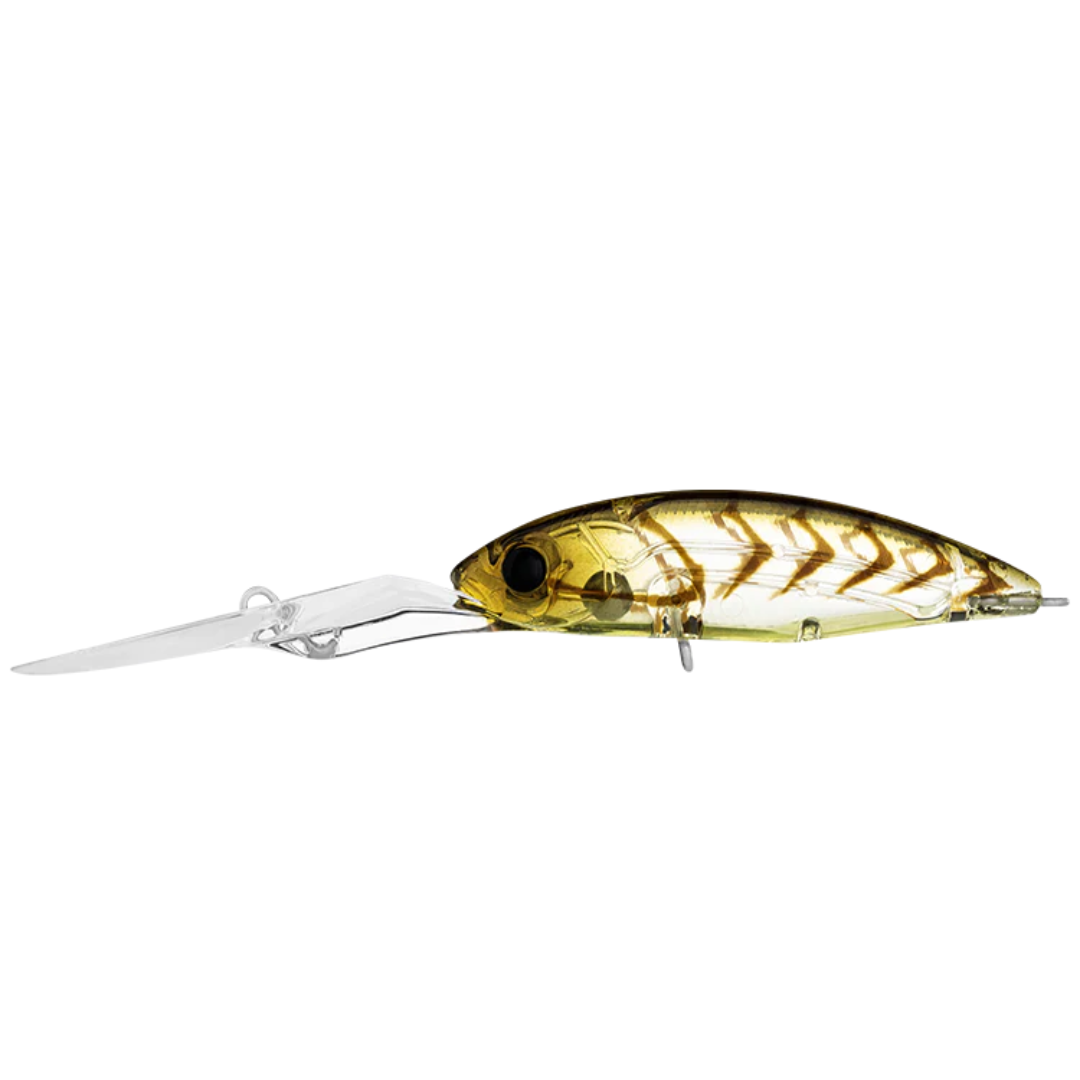23 Daiwa Infeet Spike 53 EXDR Hardbody Fishing Lure-Otto's  Tackle World