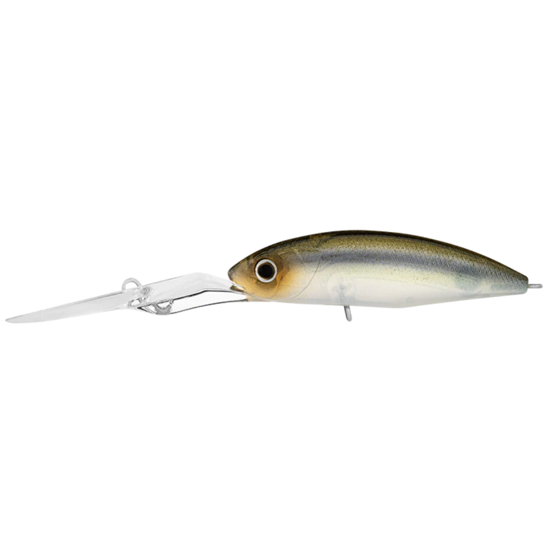 23 Daiwa Infeet Spike 53 EXDR Hardbody Fishing Lure-Otto's  Tackle World