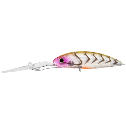 23 Daiwa Infeet Spike 53 EXDR Hardbody Fishing Lure-Otto's  Tackle World