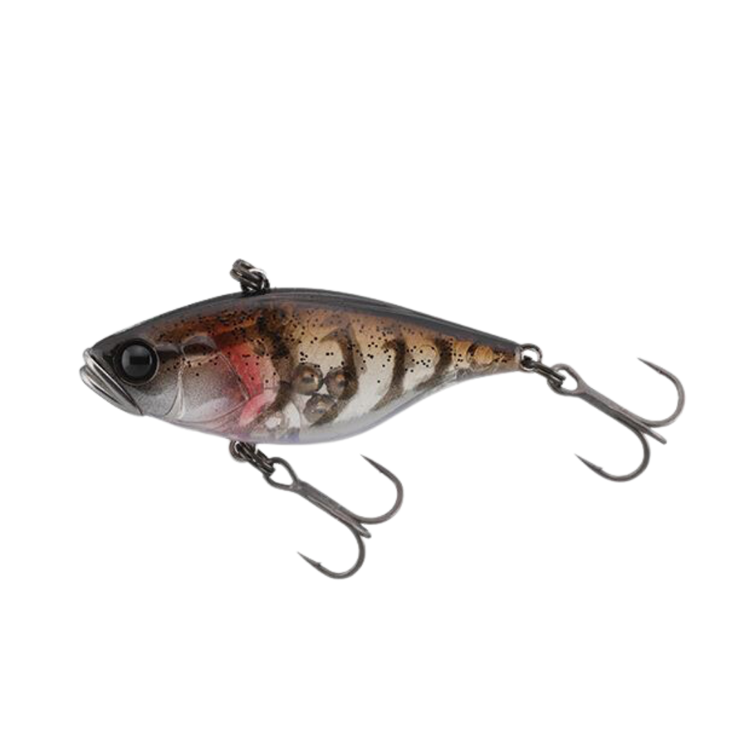 Jackall TN38 SI Rattle Vibration Lipless Crankbait Lure-Otto's  Tackle World