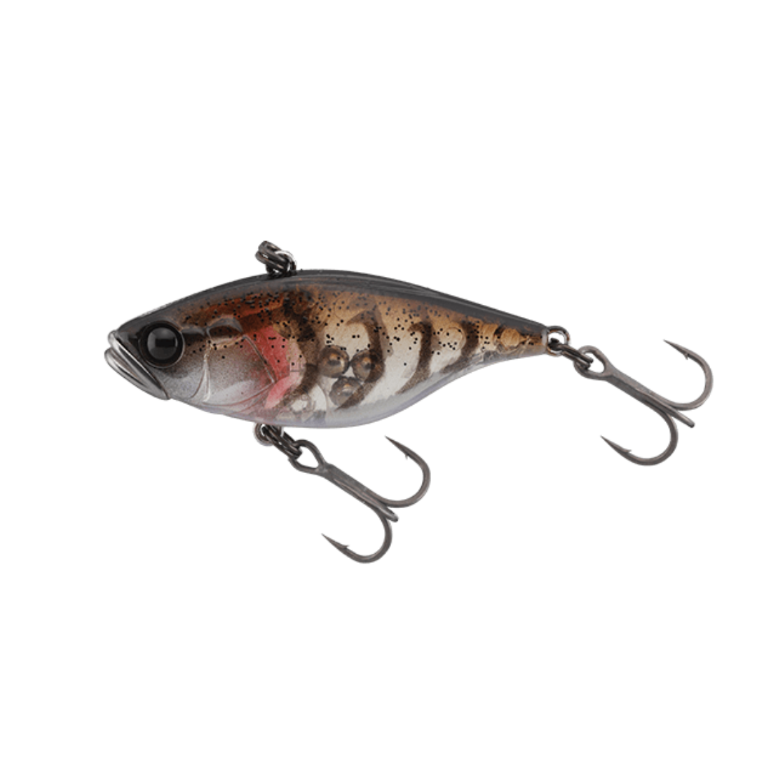 Jackall TN38 TG High Sound Rattle Vibration Lipless Crankbait Lure-Otto's  Tackle World