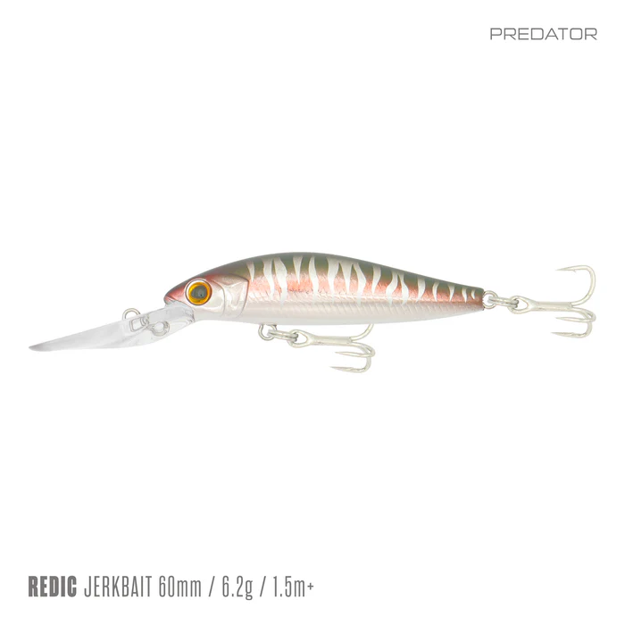 Samaki Redic MS60LC 
