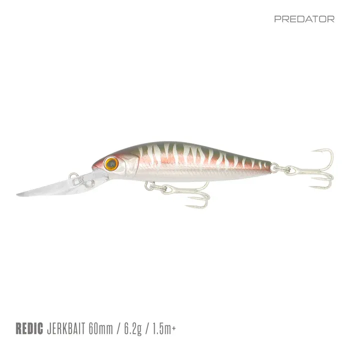 Samaki Redic MS60LC 