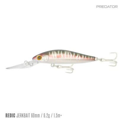 Samaki Redic MS60LC 