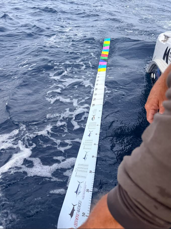 3m Offshore Pelagic Measure Matt - Boatside Fish Measure Matt