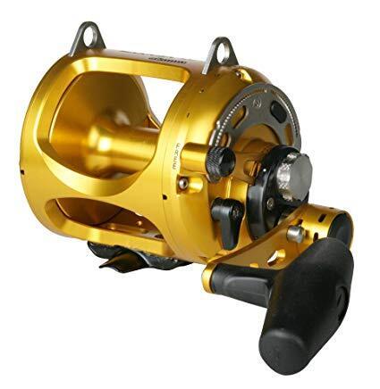 Okuma Makaira Overhead Game Fishing Reel Gold-Otto's  Tackle World