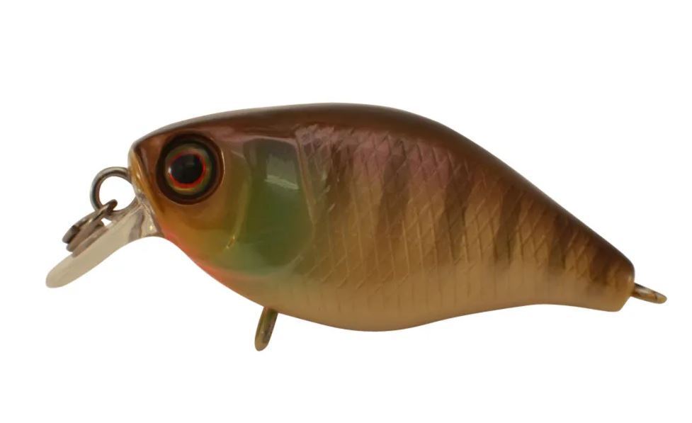 Jackall Chubby 38 Shallow Hard Body Fishing Lures-Otto's  Tackle World