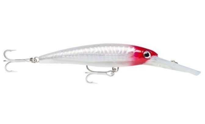 Rapala X-Rap Magnum XRMAG40 18cm Hardbody Fishing Lure-Otto's  Tackle World