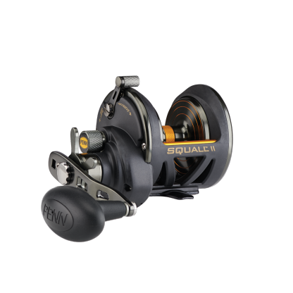Penn SQLII25NSN Squall II 25N SD Overhead Fishing Reel
