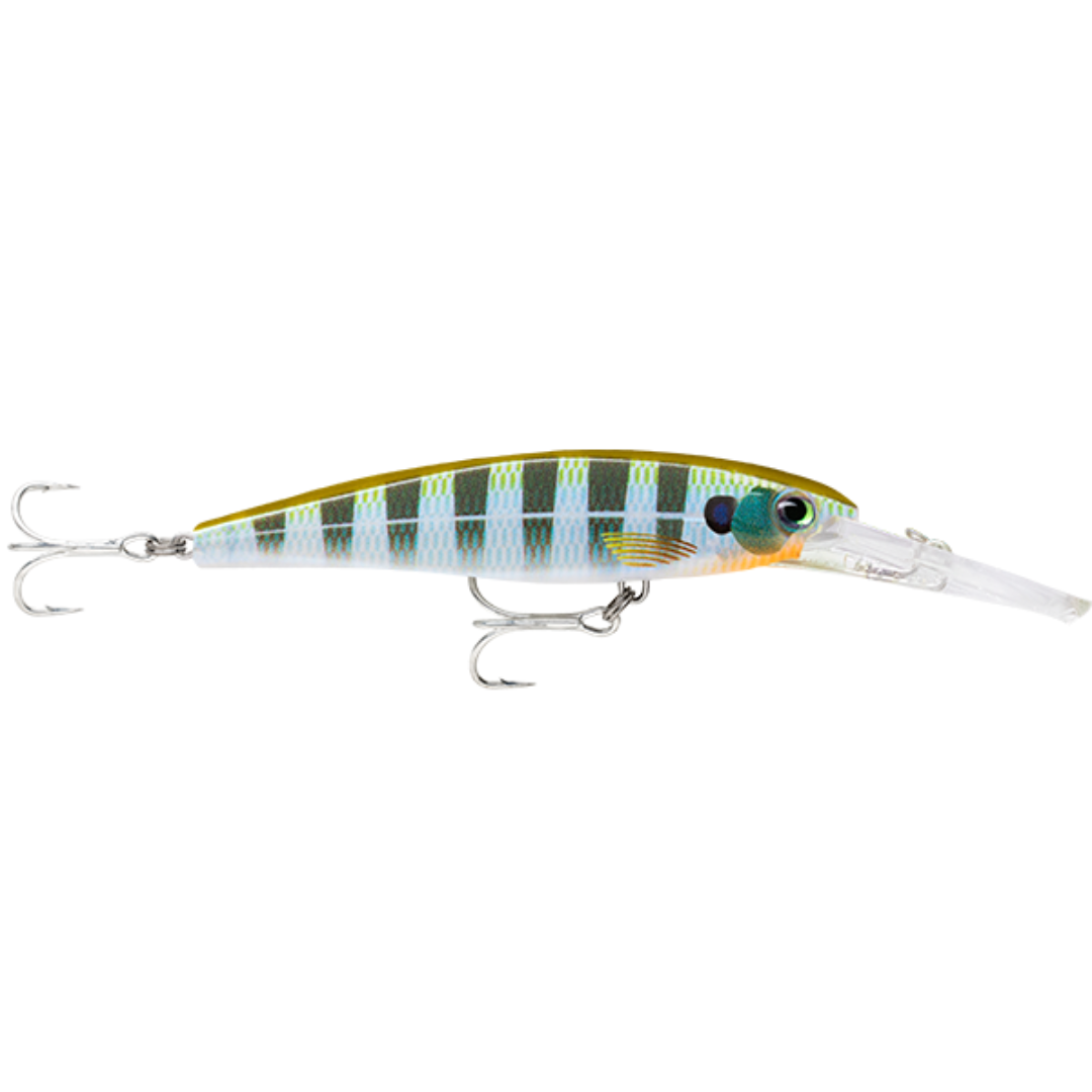 Rapala Saltwater X-Rap SXRD11 Hardbody Fishing Lure