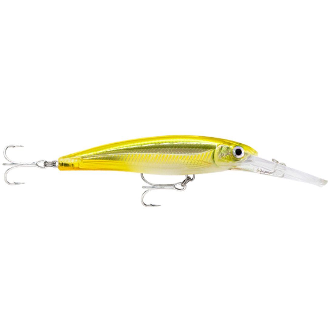Rapala Saltwater X-Rap SXRD11 Hardbody Fishing Lure