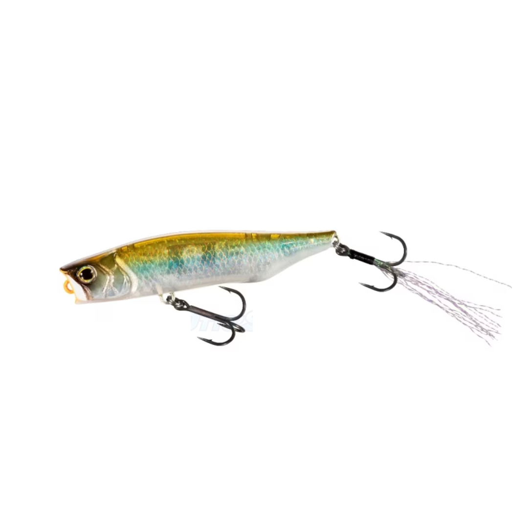 BANTAM LIGEN FLASH BOOST 66mm Surface Popper Fishing Lure-Otto's  Tackle World