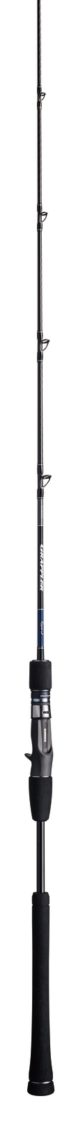 Shimano Grappler 2019 Type J Overhead Fishing Rod JDM