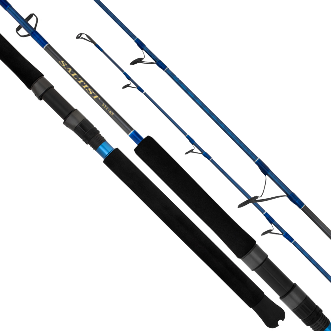 Daiwa 23 SALTIST SPINNING FISHING ROD