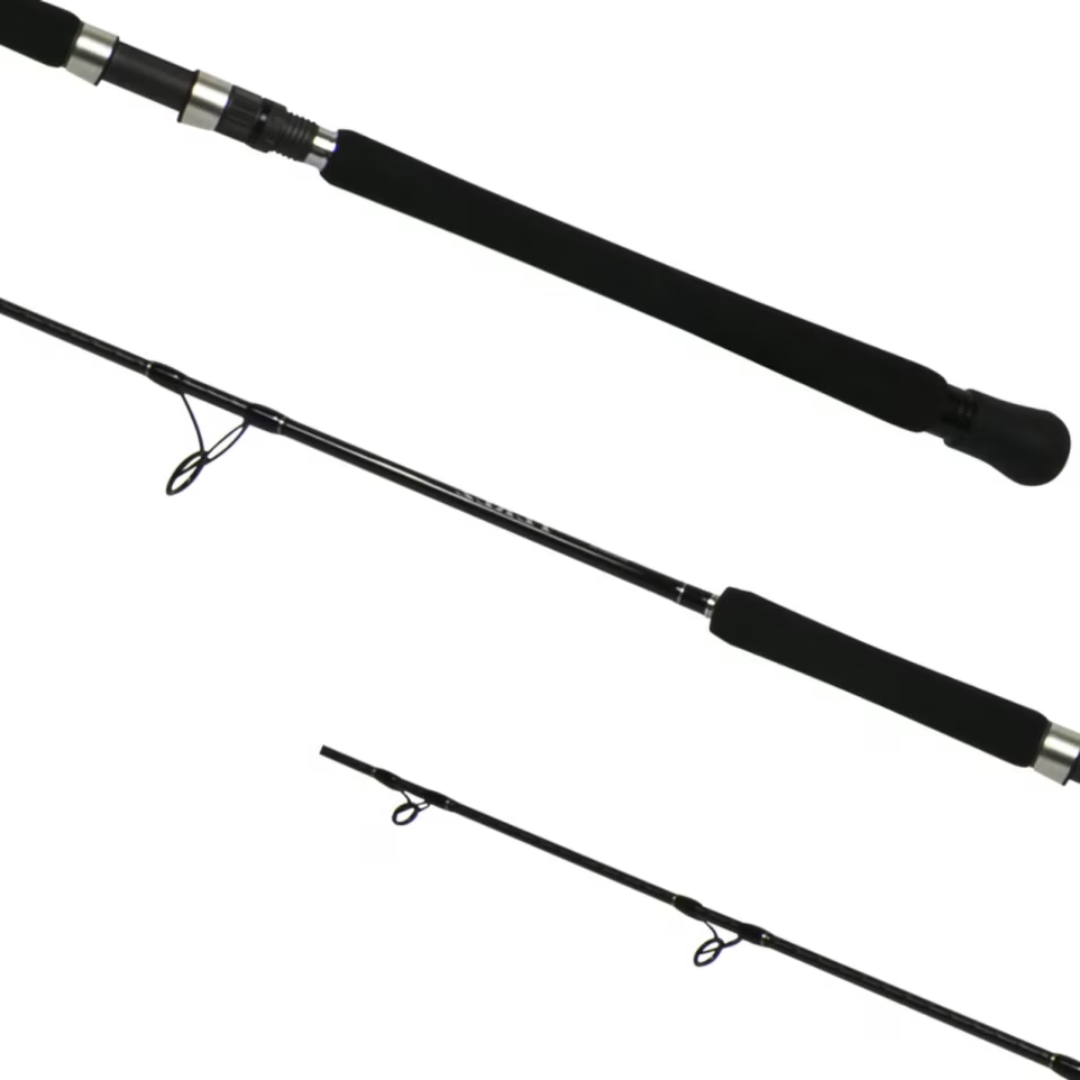 Shimano 19 Terez Spinning Fishing Rod