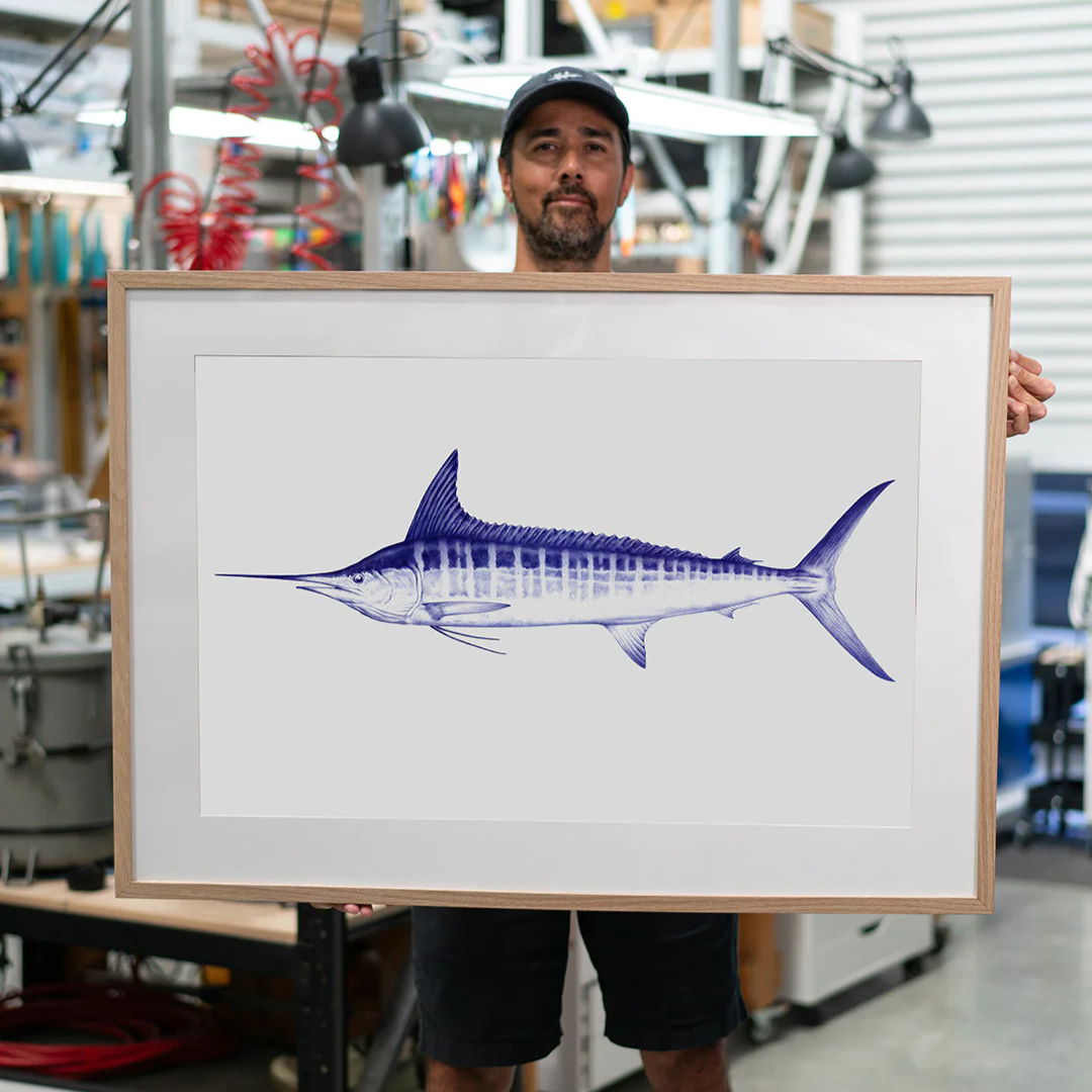 Malosi Fine Art Print - Marlin