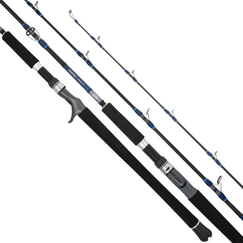 Daiwa 25 Seaborg DG Overhead Fishing Rod