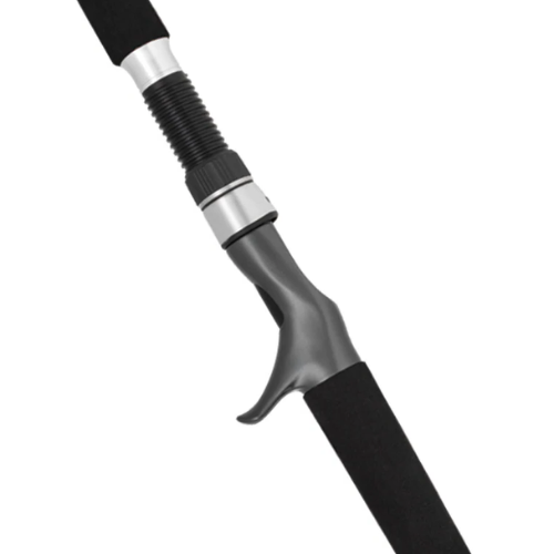 Daiwa 25 Seaborg DG Overhead Fishing Rod