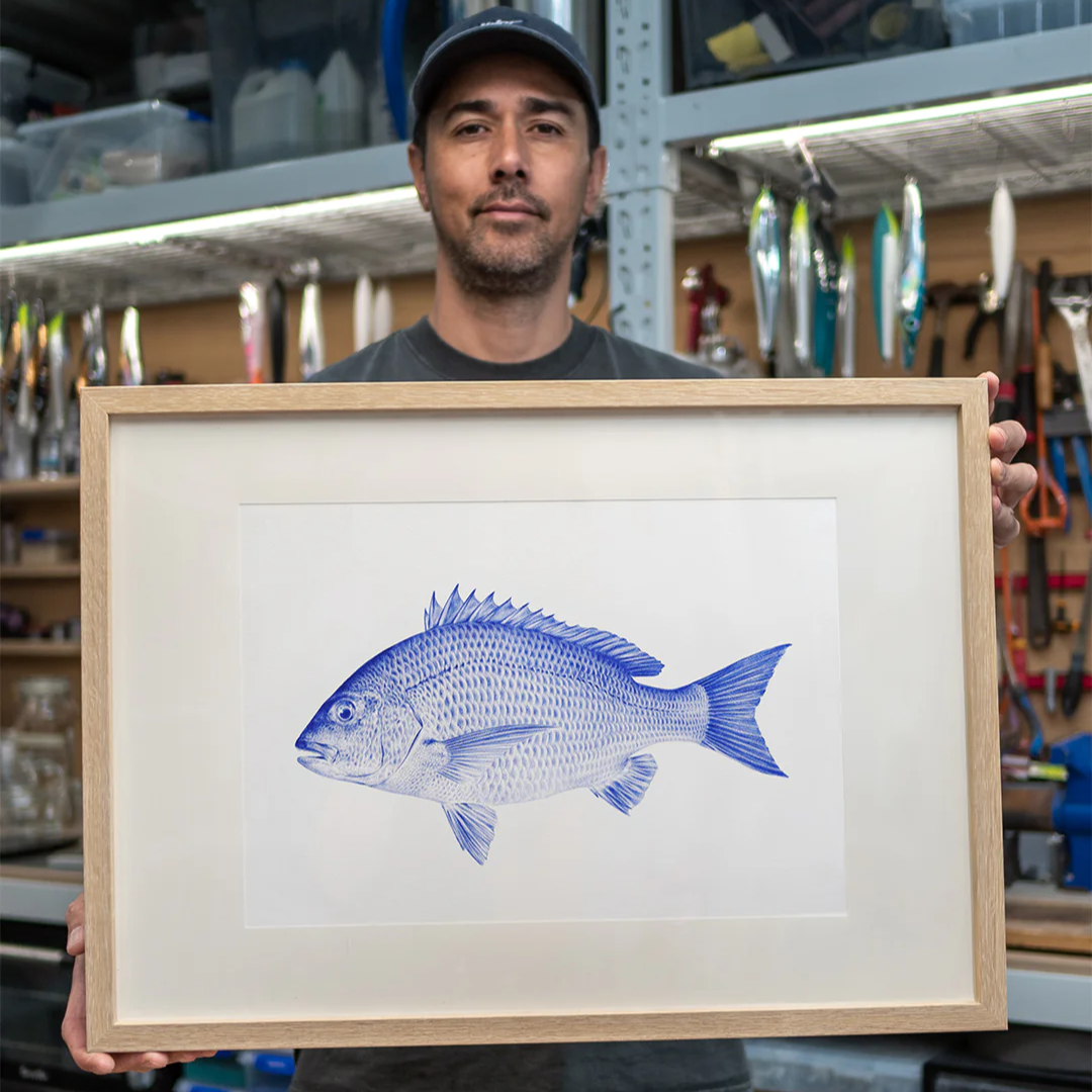 Malosi Fine Art Print Bream 