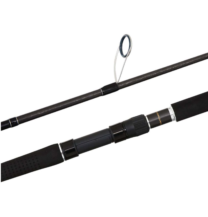 Shimano Anthem SW Heavy Spinning Fishing Rod
