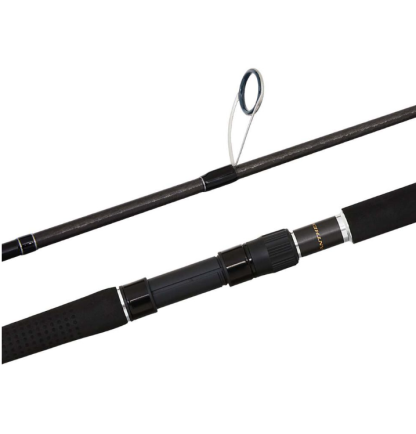 Shimano Anthem SW Heavy Spinning Fishing Rod