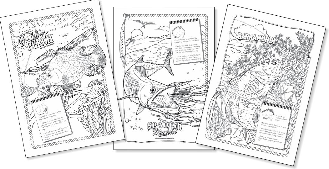 A Very Fishy Colouring Book